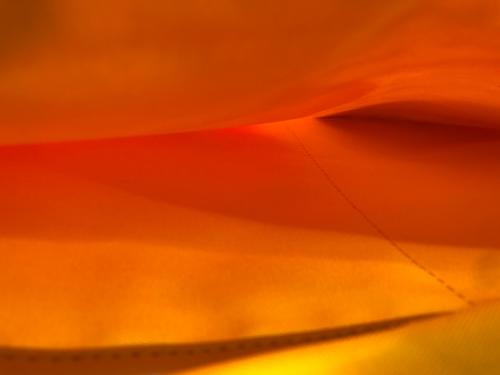 Resurrection（レザレクション）Resurrection (レザレクション) ラニウススクエアビッグ ブラウン×グリーンの古着・服飾アイテム