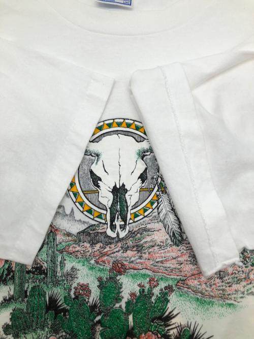 ALL SPORT（オールスポーツ）ALL SPORT (オールスポーツ) 90sプリントTシャツ TEXAS 古着 ホワイト サイズ:Lの古着・服飾アイテム