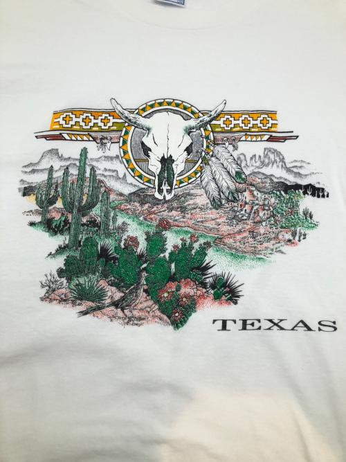 ALL SPORT（オールスポーツ）ALL SPORT (オールスポーツ) 90sプリントTシャツ TEXAS 古着 ホワイト サイズ:Lの古着・服飾アイテム
