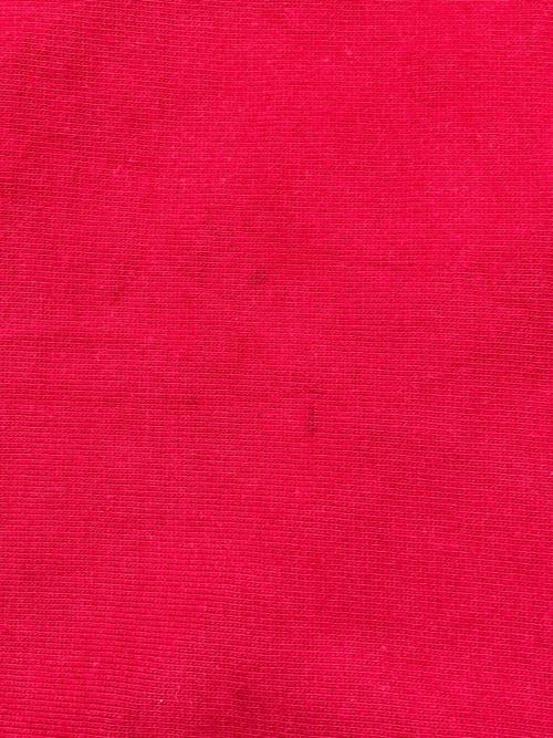 STEVE&BARRY'S（スティーブ&バリーズ）STEVE&BARRY'S (スティーブ&バリーズ) 90s刺繍プルオーバーパーカー　古着 レッド サイズ:XXLの古着・服飾アイテム