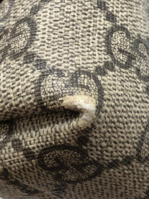 GUCCI（グッチ）GUCCI (グッチ) GGスプリーム ベージュ×ブラウンの古着・服飾アイテム