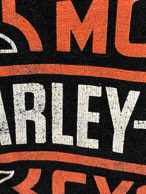 HARLEY-DAVIDSON（ハーレーダビッドソン）HARLEY-DAVIDSON (ハーレーダビッドソン) 00sロゴプリントTシャツ ブラック サイズ:2XLの古着・服飾アイテム