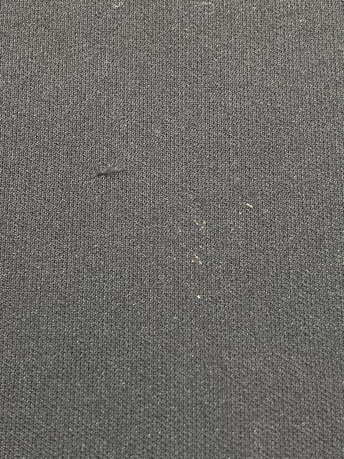 Dignite collier（ディニテ コリエ）Dignite collier (ディニテ コリエ) ジレ ブラック サイズ:Fの古着・服飾アイテム