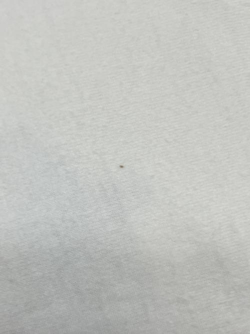 PLANET HOLLYWOOD（プラネットハリウッド）PLANET HOLLYWOOD (プラネットハリウッド) 90sプリントTシャツ　プラハ ホワイト サイズ:XLの古着・服飾アイテム