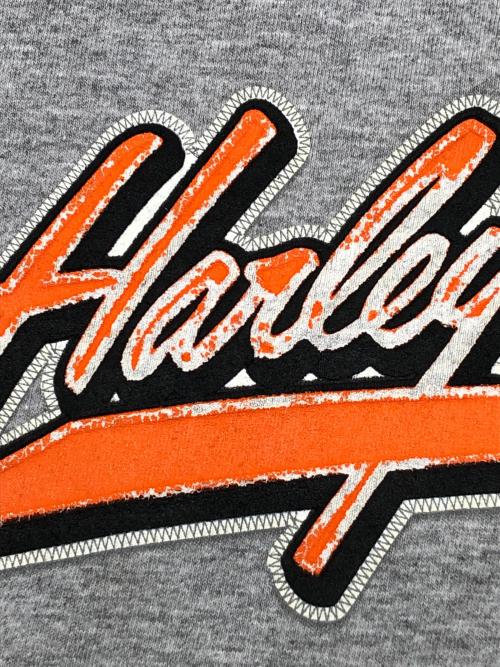 HARLEY-DAVIDSON（ハーレーダビッドソン）HARLEY-DAVIDSON (ハーレーダビッドソン) 00sロゴプリントTシャツ　古着 グレー サイズ:2XLの古着・服飾アイテム