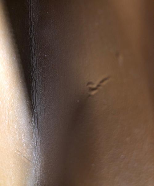 LOUIS VUITTON（ルイ ヴィトン）LOUIS VUITTON (ルイ ヴィトン) ポシェットシテの古着・服飾アイテム