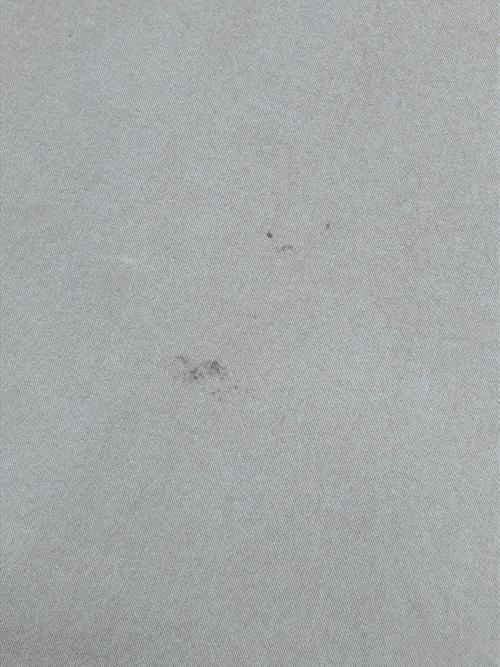 Snidel（スナイデル）Snidel (スナイデル) ステンカラーコート　	21SS カーキ サイズ:Fの古着・服飾アイテム