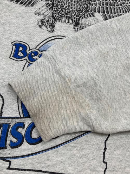 FRUIT OF THE LOOM（フルーツオブザルーム）FRUIT OF THE LOOM (フルーツオブザルーム) 90sプリントスウェット コピーライト:1995年製HEAVY 古着 USA製 グレー サイズ:XXLの古着・服飾アイテム