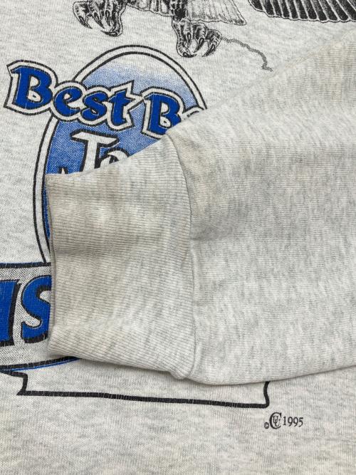 FRUIT OF THE LOOM（フルーツオブザルーム）FRUIT OF THE LOOM (フルーツオブザルーム) 90sプリントスウェット コピーライト:1995年製HEAVY 古着 USA製 グレー サイズ:XXLの古着・服飾アイテム