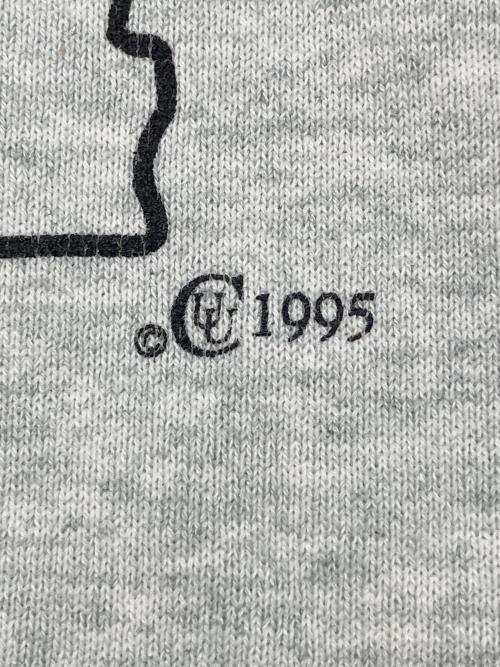 FRUIT OF THE LOOM（フルーツオブザルーム）FRUIT OF THE LOOM (フルーツオブザルーム) 90sプリントスウェット コピーライト:1995年製HEAVY 古着 USA製 グレー サイズ:XXLの古着・服飾アイテム