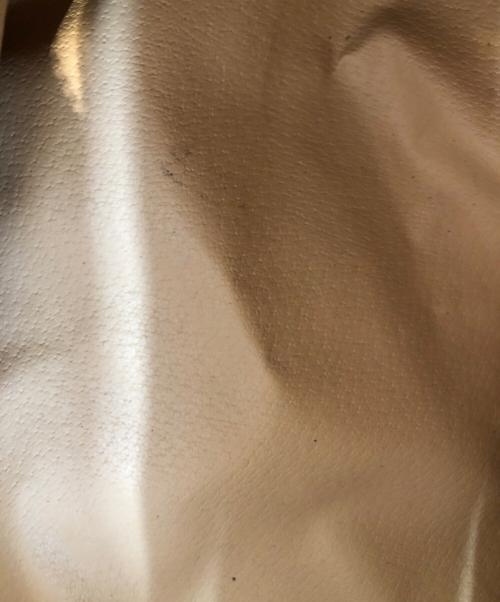 CELINE（セリーヌ）CELINE (セリーヌ) オールドセリーヌ ベージュ×ブラウンの古着・服飾アイテム