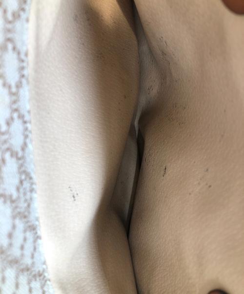 CELINE（セリーヌ）CELINE (セリーヌ) オールドセリーヌ ベージュ×ブラウンの古着・服飾アイテム