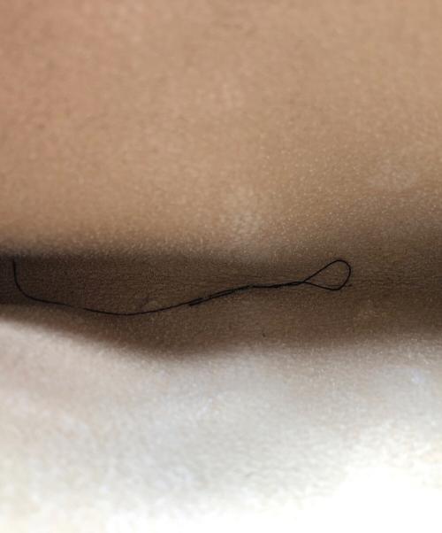 LOUIS VUITTON（ルイ ヴィトン）LOUIS VUITTON (ルイ ヴィトン) バケットGM ブラウンの古着・服飾アイテム