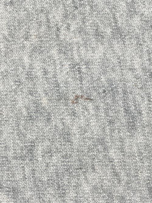 Champion REVERSE WEAVE（チャンピオン リバース ウィーブ）Champion REVERSE WEAVE (チャンピオン リバース ウィーブ) スウェット ライトグレー×ネイビー サイズ:Lの古着・服飾アイテム