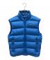 Patagonia（パタゴニア）の古着「ダウンベスト」｜ブルー