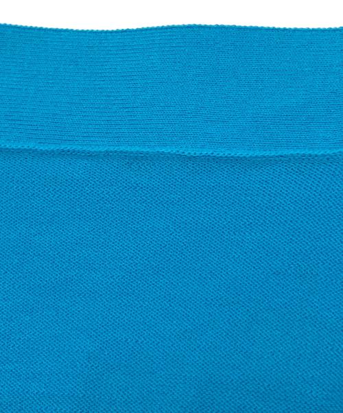 Spick and Span（スピック＆スパン）Spick and Span (スピックアンドスパン) 薄手カーディガン　2023モデル ライトブルー サイズ:不明の古着・服飾アイテム