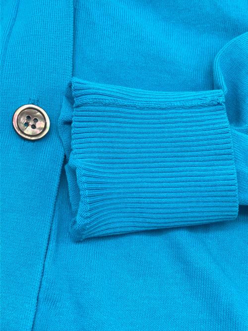 Spick and Span（スピック＆スパン）Spick and Span (スピックアンドスパン) 薄手カーディガン　2023モデル ライトブルー サイズ:不明の古着・服飾アイテム