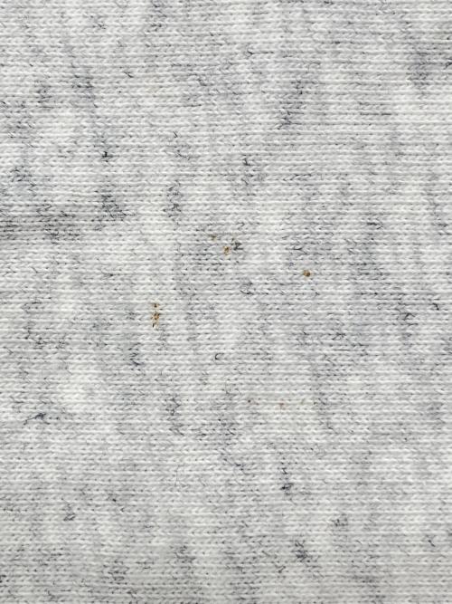 Champion REVERSE WEAVE（チャンピオン リバース ウィーブ）Champion REVERSE WEAVE (チャンピオン リバース ウィーブ) 半袖カットソー ライトグレー サイズ:Lの古着・服飾アイテム