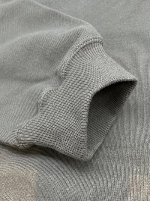 Schott（ショット）Schott (ショット) プルオーバーパーカー　CHERRY BLOSSOM JAPAN EAGLE HOODED SWEAT グレー サイズ:Lの古着・服飾アイテム