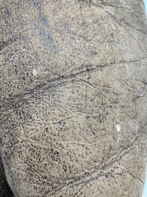 AVIREX（アヴィレックス）AVIREX (アヴィレックス) B-3ムートンジャケット ホワイト×ブラウン サイズ:42の古着・服飾アイテム