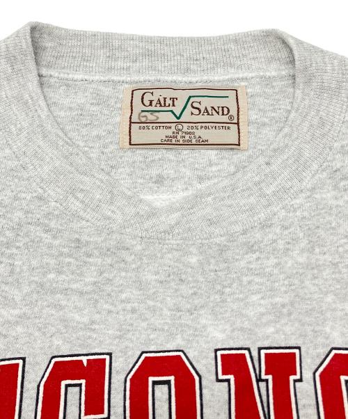 GALT SAND（ゴールト サンド）GALT SAND (ゴールト サンド) 90sカレッジスウェット　古着 グレー サイズ:Lの古着・服飾アイテム