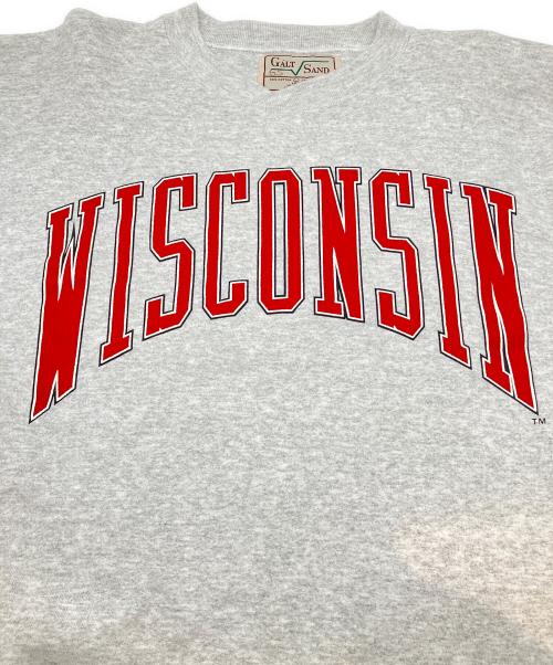 GALT SAND（ゴールト サンド）GALT SAND (ゴールト サンド) 90sカレッジスウェット　古着 グレー サイズ:Lの古着・服飾アイテム
