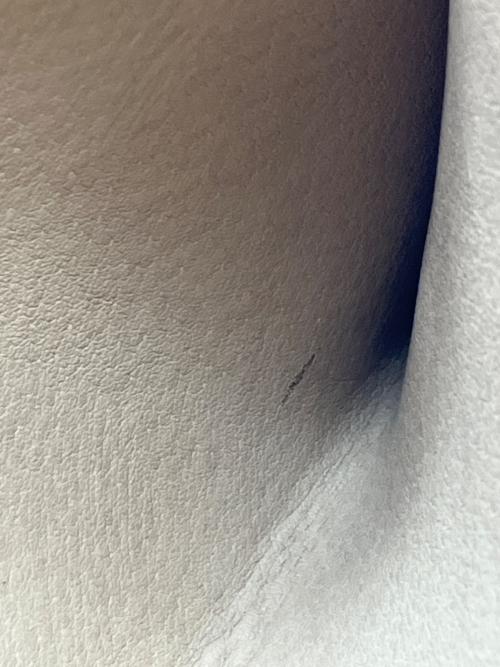 LORISTELLA（ロリステッラ）LORISTELLA (ロリステッラ) 2WAYバッグ ライトブラウンの古着・服飾アイテム