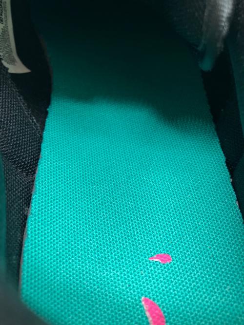 NIKE（ナイキ）NIKE (ナイキ) 	Women's Dunk Low 