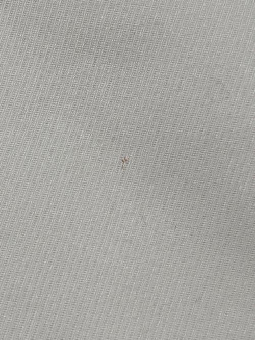 GUCCI（グッチ）GUCCI (グッチ) テーパードパンツ ホワイト サイズ:38の古着・服飾アイテム