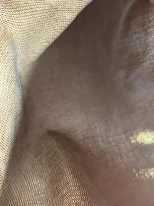 LOUIS VUITTON（ルイ ヴィトン）LOUIS VUITTON (ルイ ヴィトン) ダミエ 　リベラGMの古着・服飾アイテム