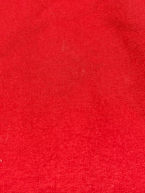 Champion（チャンピオン）Champion (チャンピオン) 90sロゴプリントスウェット　古着 レッド サイズ:Lの古着・服飾アイテム
