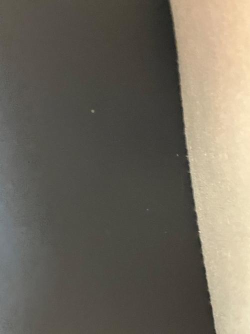 GUCCI（グッチ）GUCCI (グッチ) GG マーモント ブラックの古着・服飾アイテム