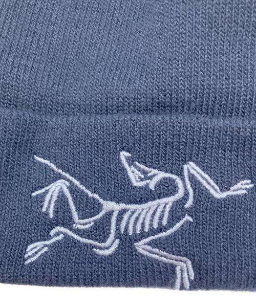 ARC'TERYX（アークテリクス）ARC'TERYX (アークテリクス) ニット帽 ネイビー×ブラックの古着・服飾アイテム