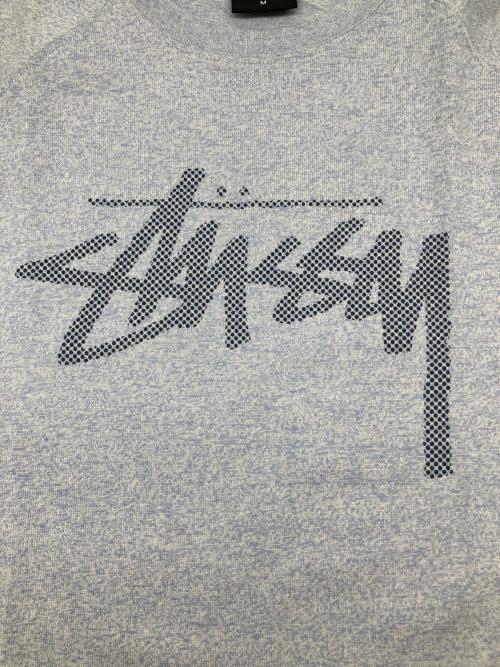 stussy（ステューシー）stussy (ステューシー) 長袖カットソー スカイブルー サイズ:Ｍの古着・服飾アイテム
