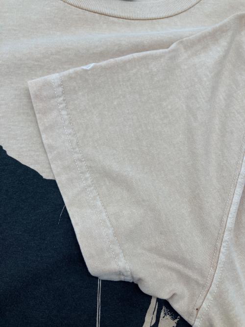 DIESEL（ディーゼル）DIESEL (ディーゼル) Tシャツ ベージュ サイズ:Ｍの古着・服飾アイテム