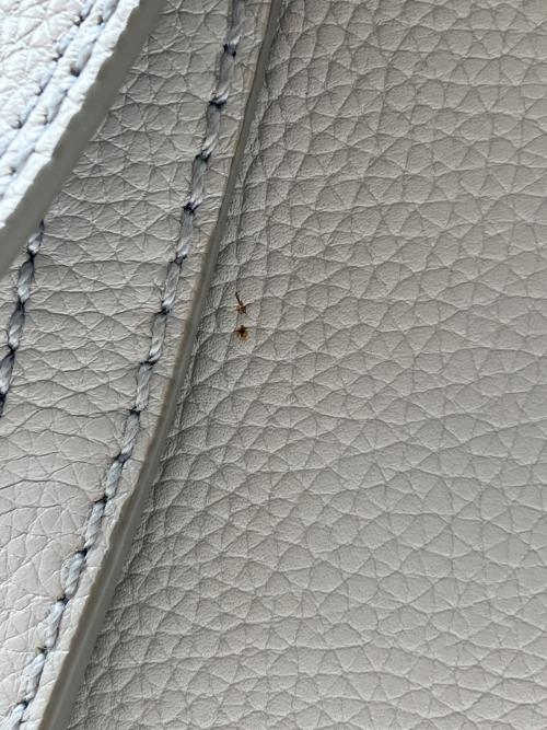 THE MARC JACOBS（ザマークジェイコブス）THE MARC JACOBS (ザマークジェイコブス) 2WAYバッグ THE MARC JACOBS(ザマークジェイコブス) ザ ミニ ディレクター ラベンダー×ゴールドの古着・服飾アイテム