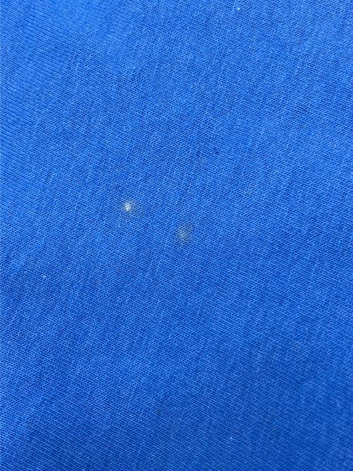 Walt Disney World（ウォルトディズニーワールド）Walt Disney World (ウォルトディズニーワールド) 90sプリントTシャツ ブルー サイズ:Lの古着・服飾アイテム