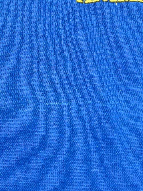 Walt Disney World（ウォルトディズニーワールド）Walt Disney World (ウォルトディズニーワールド) 90sプリントTシャツ ブルー サイズ:Lの古着・服飾アイテム