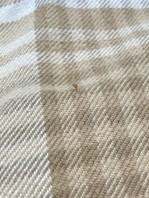 POLO RALPH LAUREN（ポロ・ラルフローレン）POLO RALPH LAUREN (ポロ・ラルフローレン) 長袖シャツ ライトブラウン×ベージュ サイズ:Lの古着・服飾アイテム