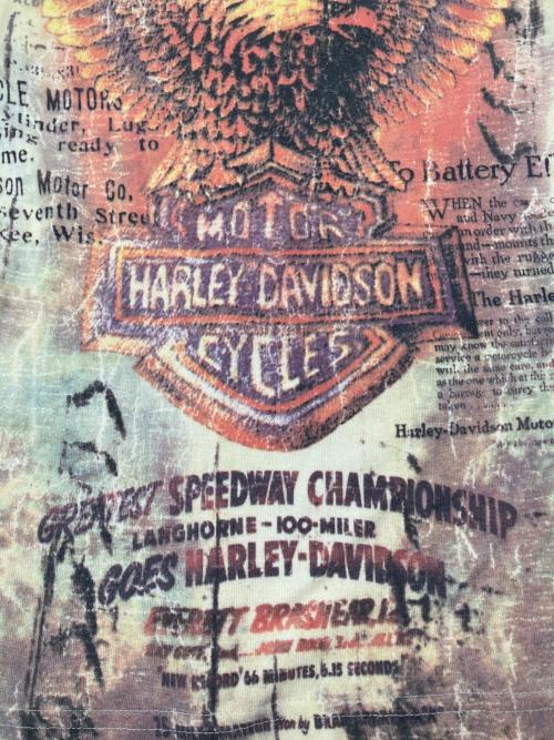 HARLEY-DAVIDSON（ハーレーダビッドソン）HARLEY-DAVIDSON (ハーレーダビッドソン) デコレーションプリントカットソー　Y2K アイボリー×オレンジ サイズ:Sの古着・服飾アイテム