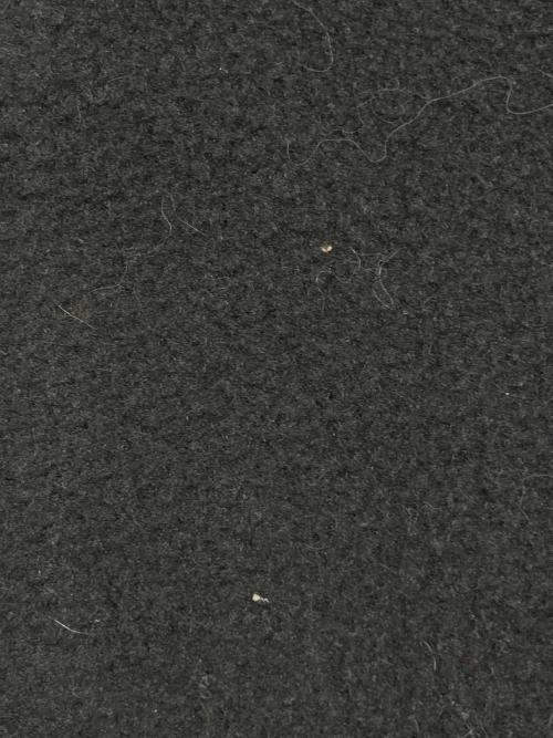 THE NORTH FACE（ザ ノース フェイス）THE NORTH FACE (ザ ノース フェイス) デナリフーディ ブラック サイズ:Lの古着・服飾アイテム