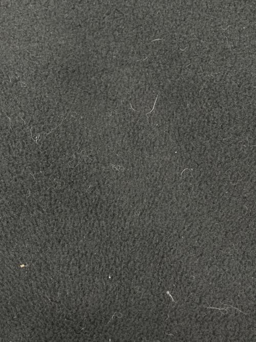 THE NORTH FACE（ザ ノース フェイス）THE NORTH FACE (ザ ノース フェイス) デナリフーディ ブラック サイズ:Lの古着・服飾アイテム