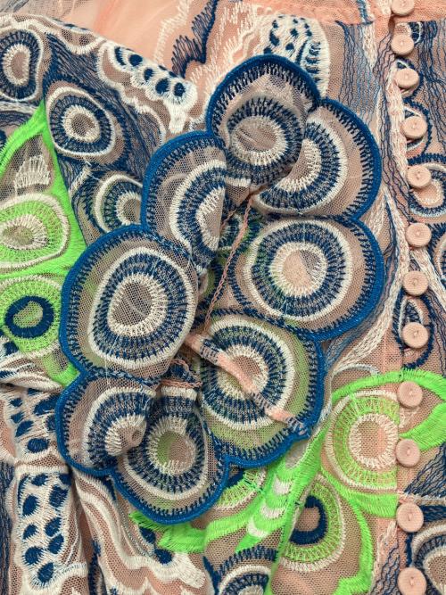 VIVIENNE TAM（ヴィヴィアンタム）VIVIENNE TAM (ヴィヴィアンタム) 長袖ワンピース　BUTTERFLY EMBROIDERY ON RIGID NETTING ピンク サイズ:38 未使用品の古着・服飾アイテム
