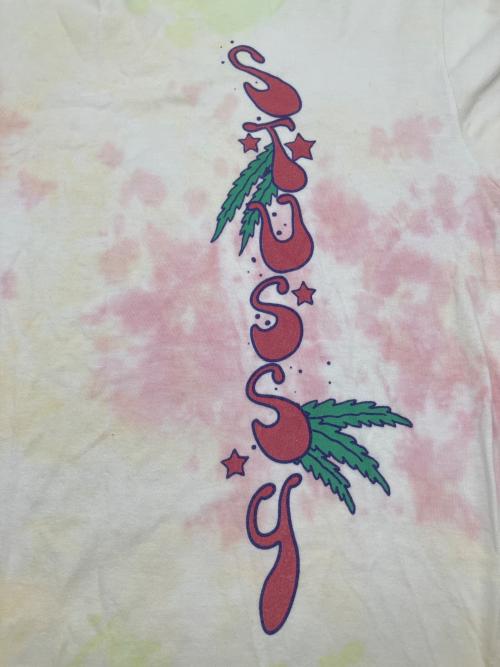 stussy（ステューシー）stussy (ステューシー) 半袖カットソー マルチカラー サイズ:Ｍの古着・服飾アイテム
