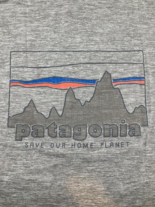 Patagonia（パタゴニア）Patagonia (パタゴニア) プルオーバーパーカー グレー サイズ:L 未使用品の古着・服飾アイテム