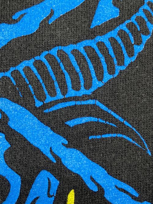 THRASHER（スラッシャー）THRASHER (スラッシャー) 00sジップパーカー ブラック サイズ:Lの古着・服飾アイテム