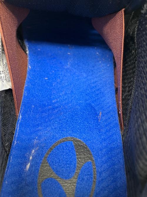 NIKE SB（ナイキエスビー）NIKE SB (ナイキエスビー) ローカットスニーカー ブラウン サイズ:28㎝の古着・服飾アイテム