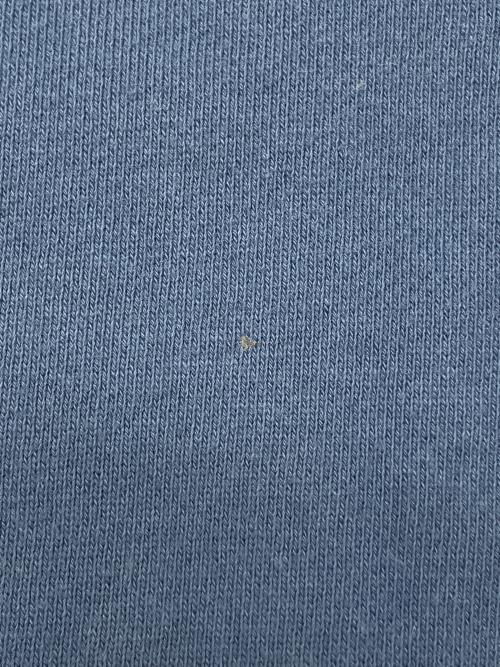 stussy（ステューシー）stussy (ステューシー) スウェット ブルー サイズ:Sの古着・服飾アイテム