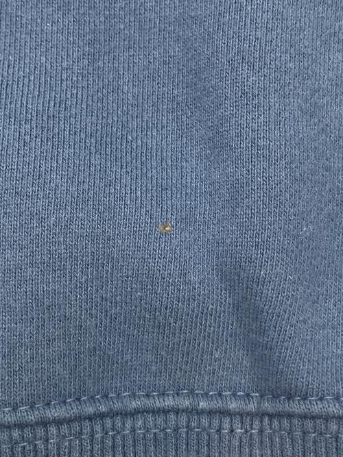 stussy（ステューシー）stussy (ステューシー) スウェット ブルー サイズ:Sの古着・服飾アイテム