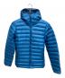 Patagonia（パタゴニア）の古着「ダウンセーターフーディ ダウンジャケット」｜ブルー